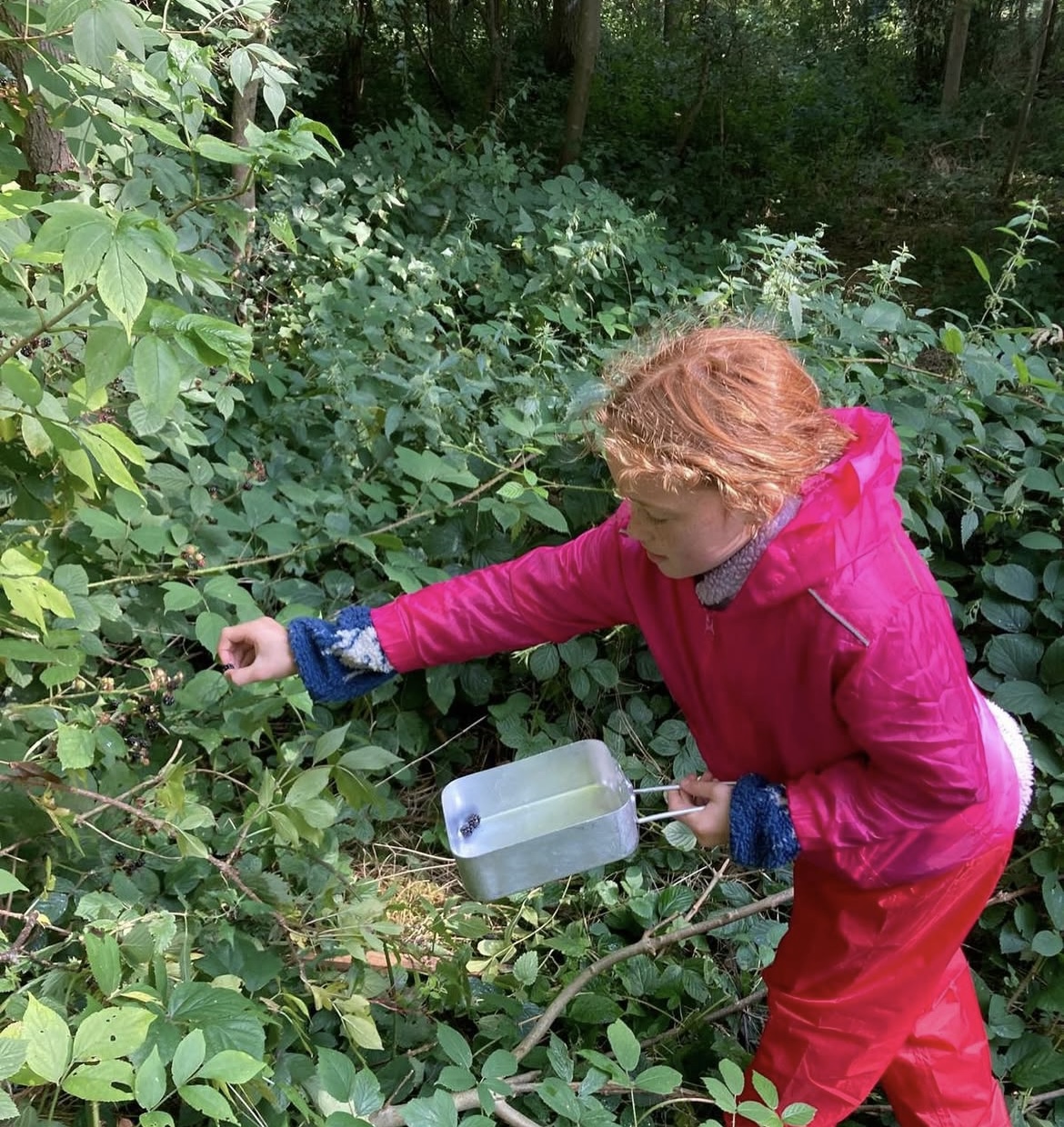Outdoor-Ambition Summer Bushcraft - image 5