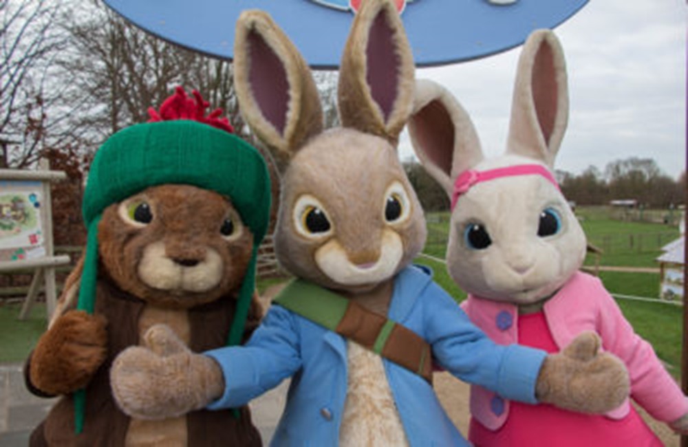 SEND Family Trip to Willows Activity Farm - image 7