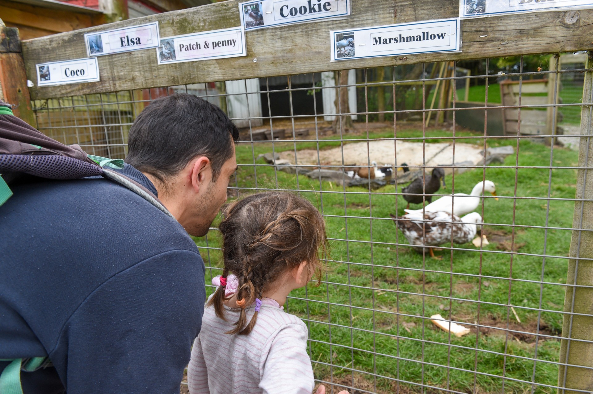 Blacon Adventure Playground - image 12