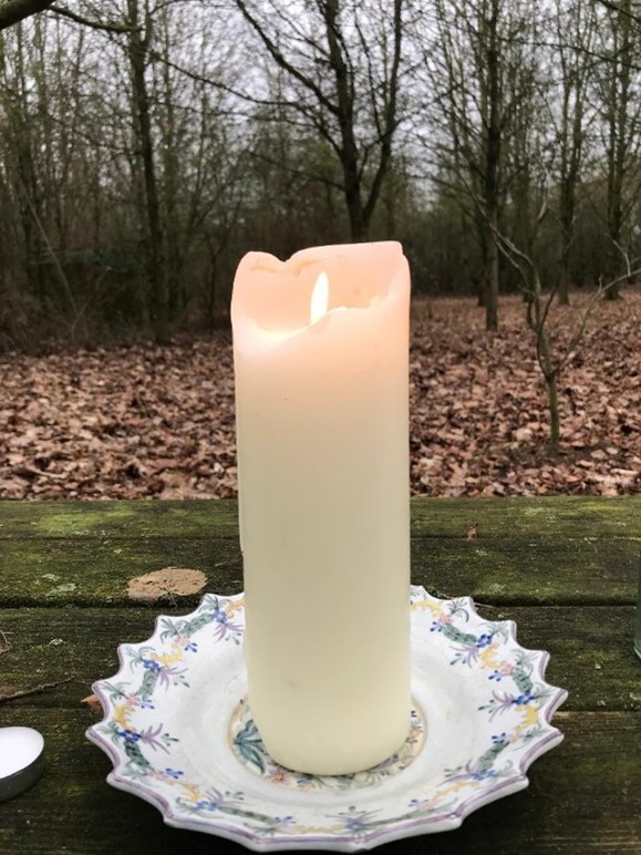 Thornham Walks Forest Bathing - image 31