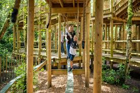Action for Children Day Trip to Bewilderwood - image 2