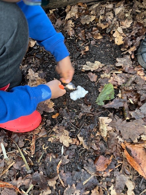 RE:Wild – Forest School Club for SEND Children - image 3