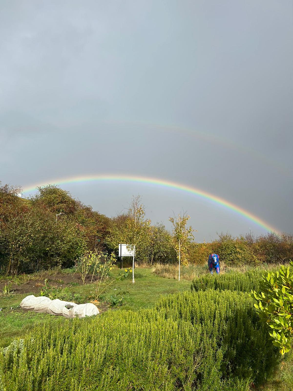 Trust Links Forest School Shoebury Summer 2026 - image 6