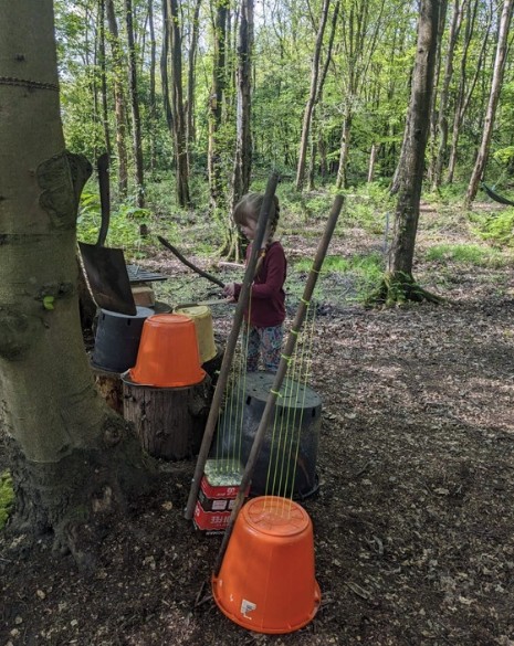 Forest Wellbeing - image 3