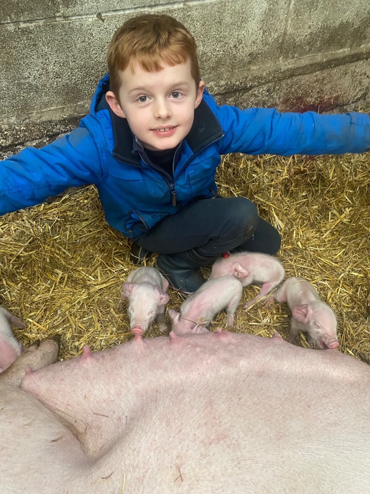 Simpli Life - Easter on the Farm - image 6