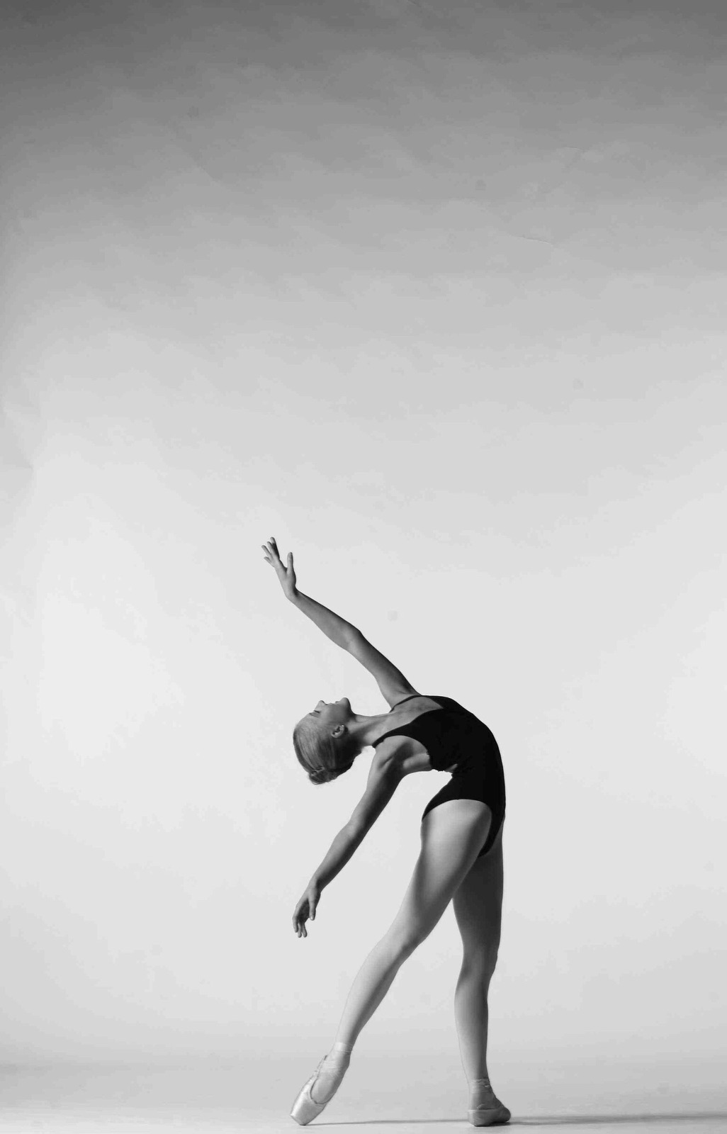 4 week Adult Ballet and Barre Core - image 6