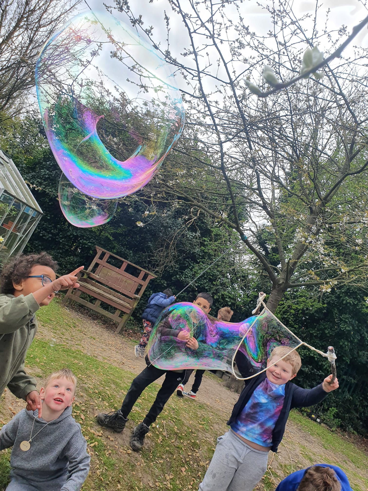 In the Canopy: Outdoor Adventure - Howden - image 2