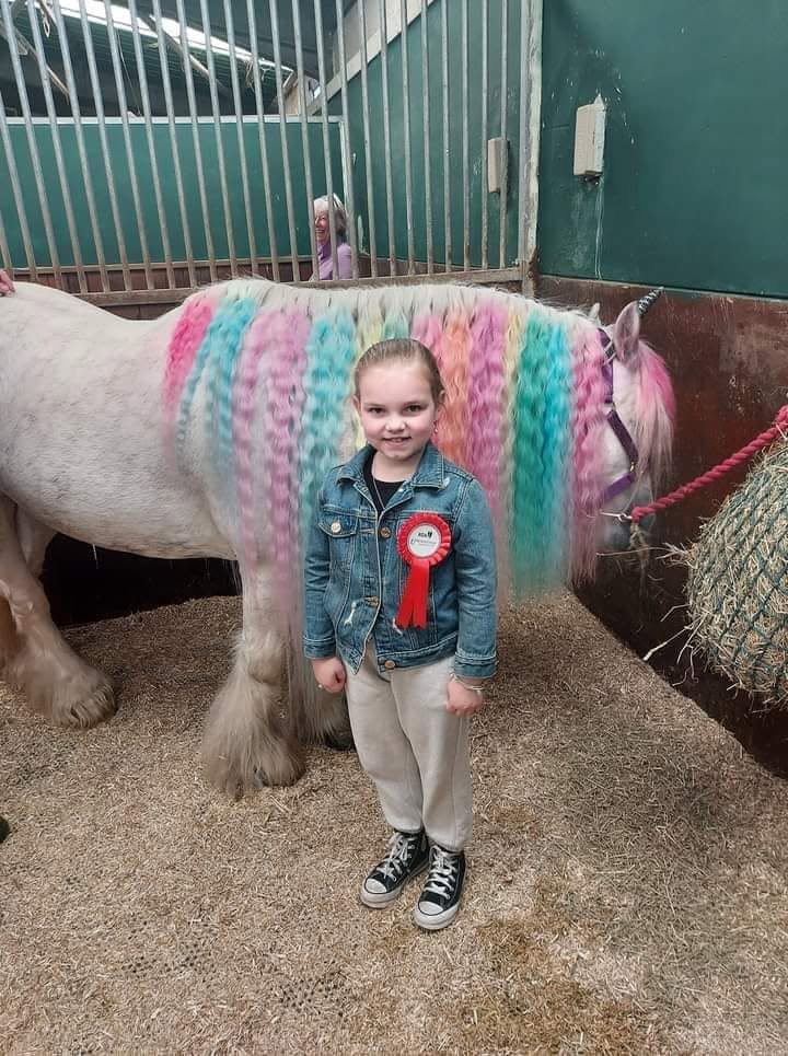S.E.N.D OWN A PONY FOR A DAY! - image 6