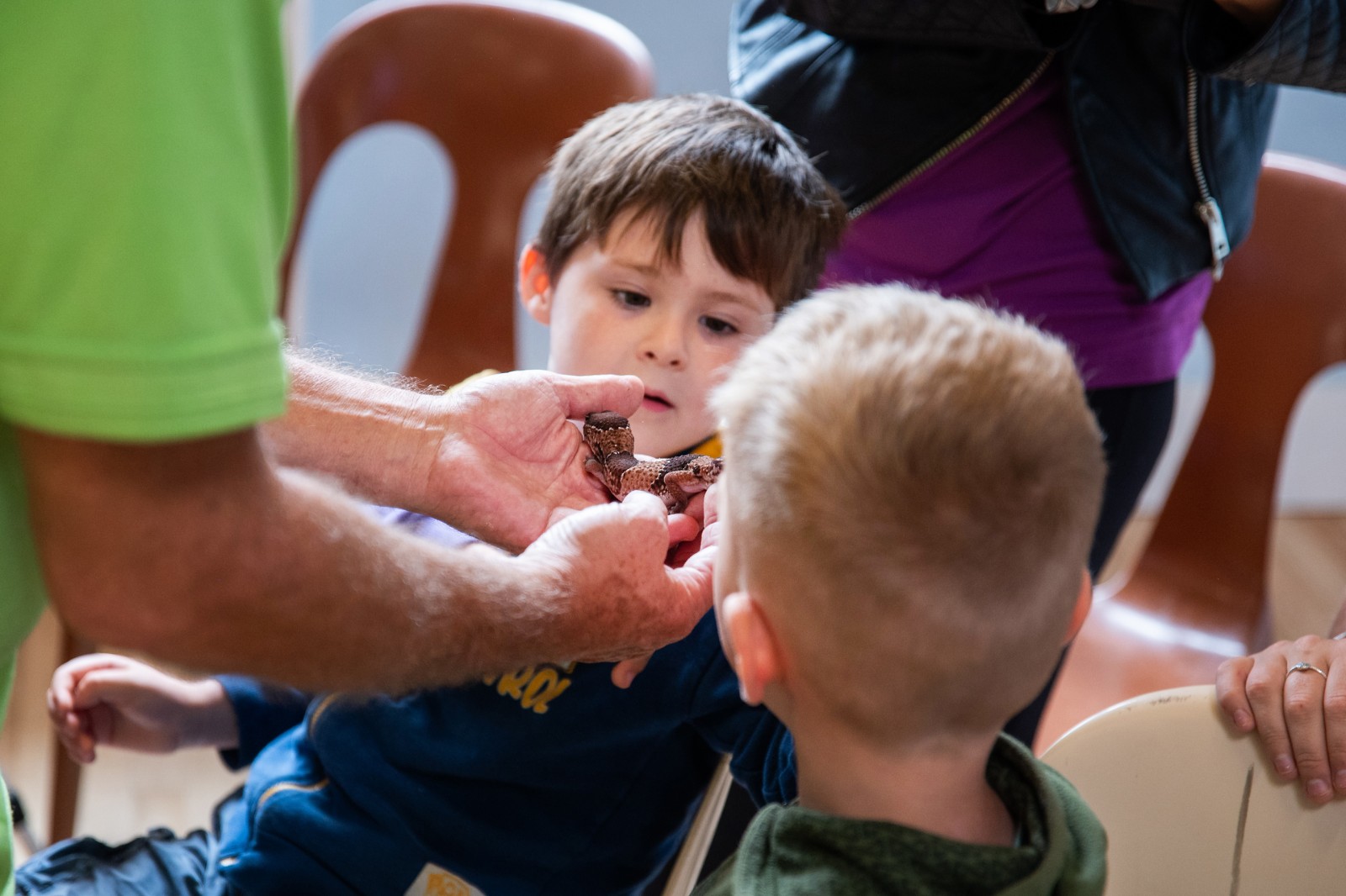 Animazing at Dorking Christian Centre - image 6