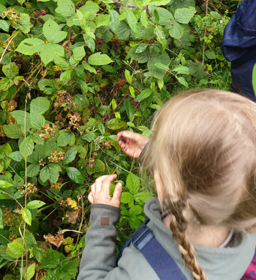 Mini Wilderness Explorers block mentored by The World Outside Ltd
