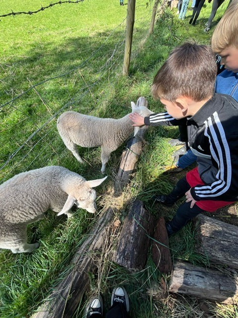 The Grove Community Hub - HAF Club - image 25