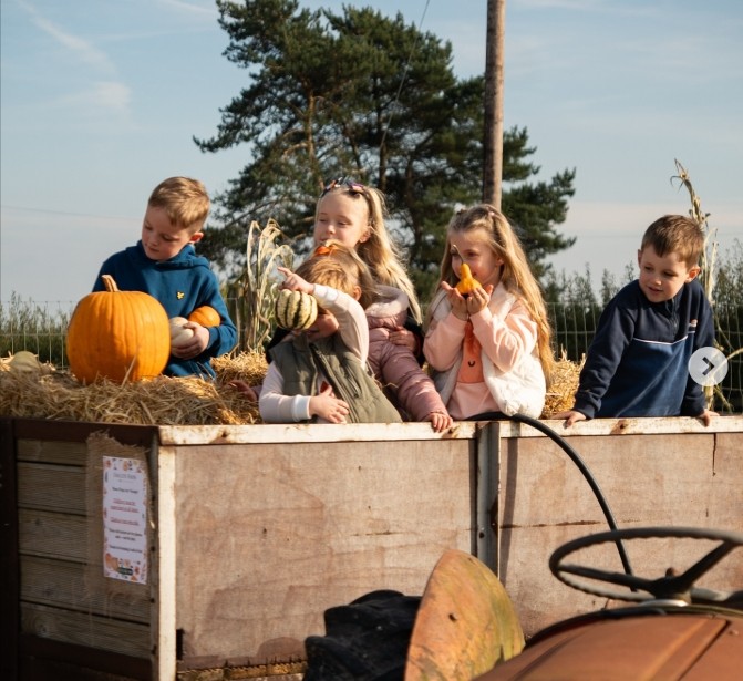 Action for Children Family Pumpkin Picking block mentored by Action for Children