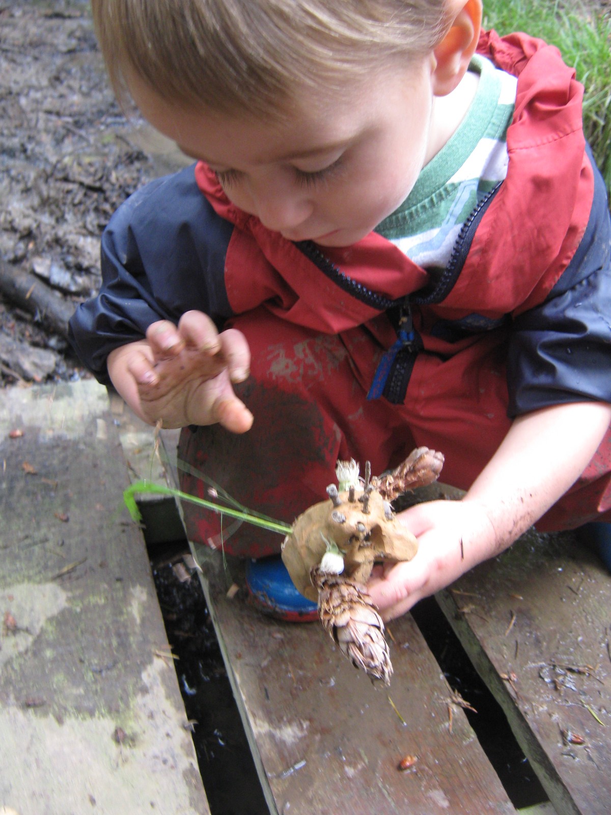 Mini Wilderness Explorers - image 5