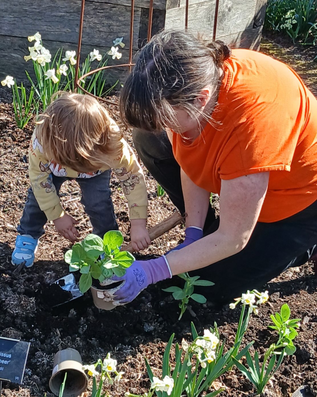 Family Wellbeing Wednesdays at the RHS - image 2