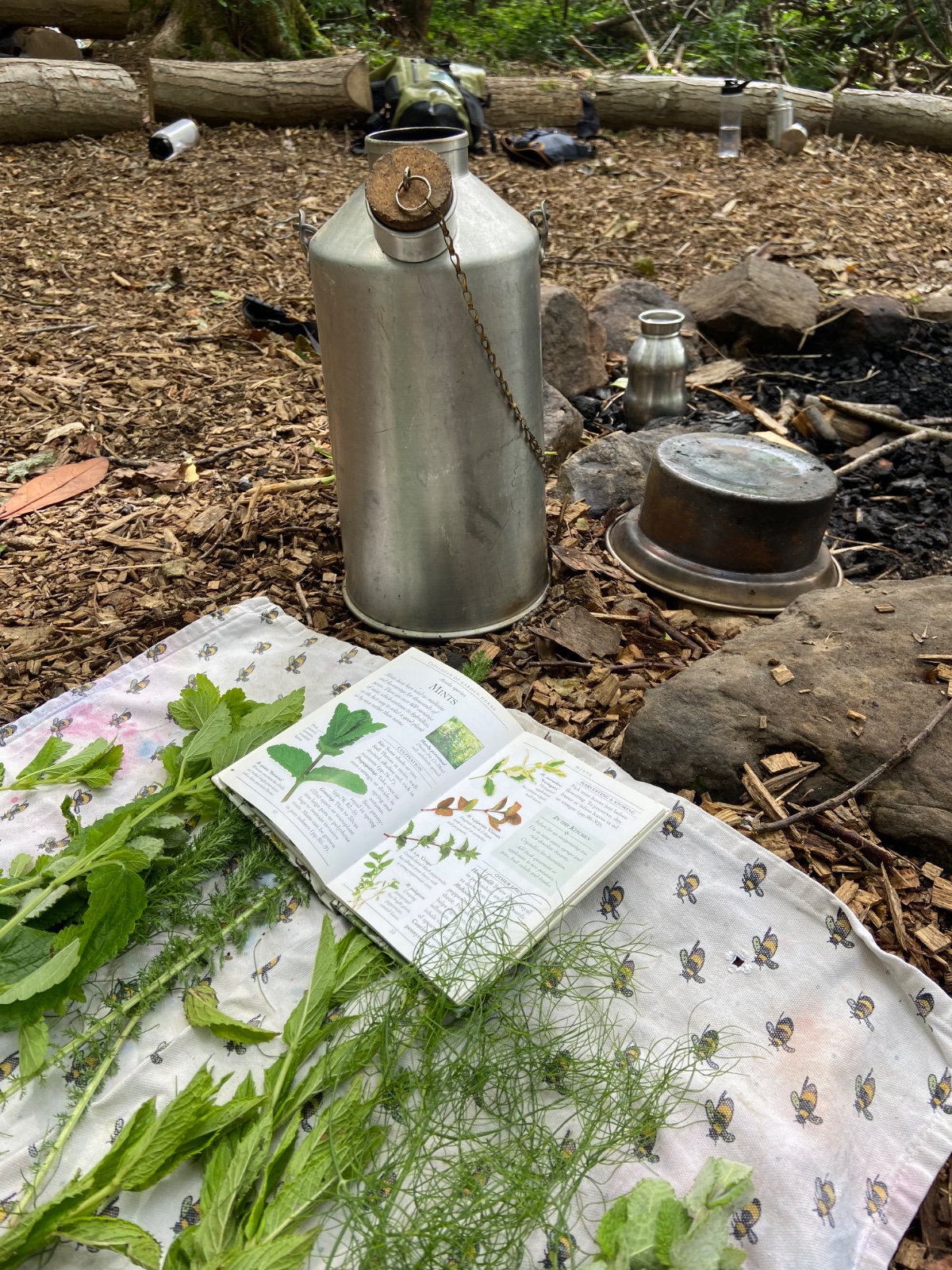 New Weekly Home Ed Forest School - image 3