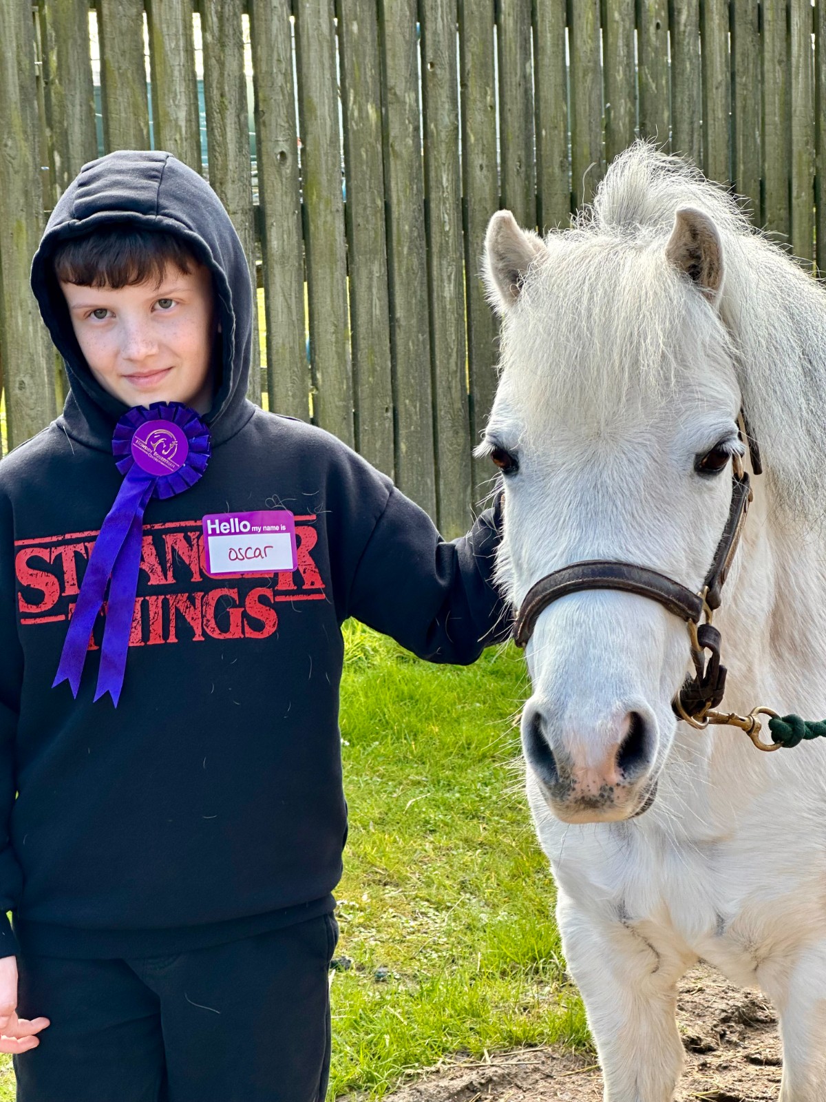 Secondary Horse & Pony Experience @HowdenEques - image 8