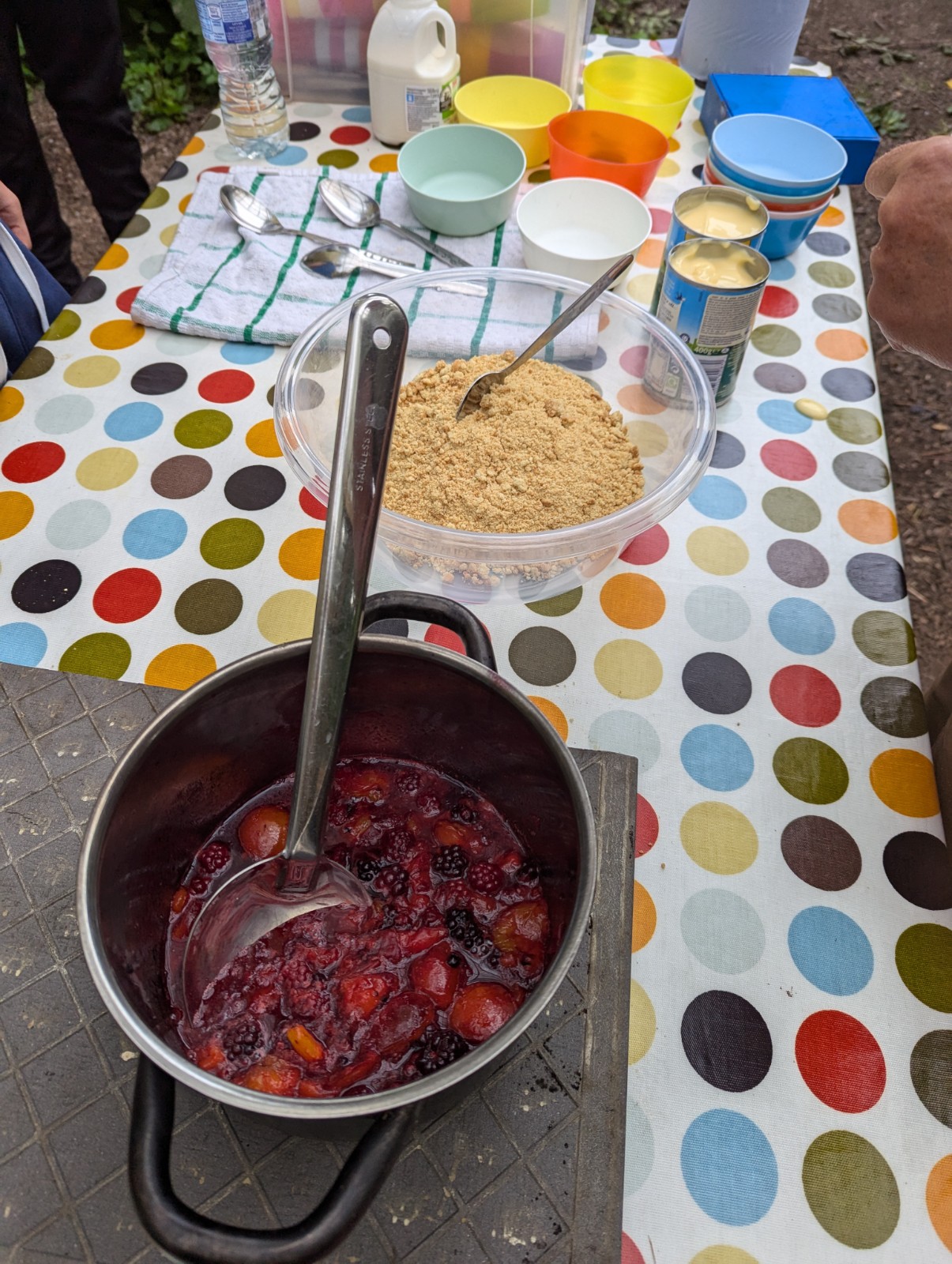 St Ann's Community Orchard - image 4
