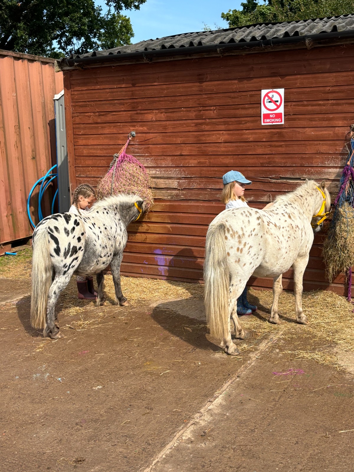 Pampered Pony: Pony Care & Horse Riding - image 2