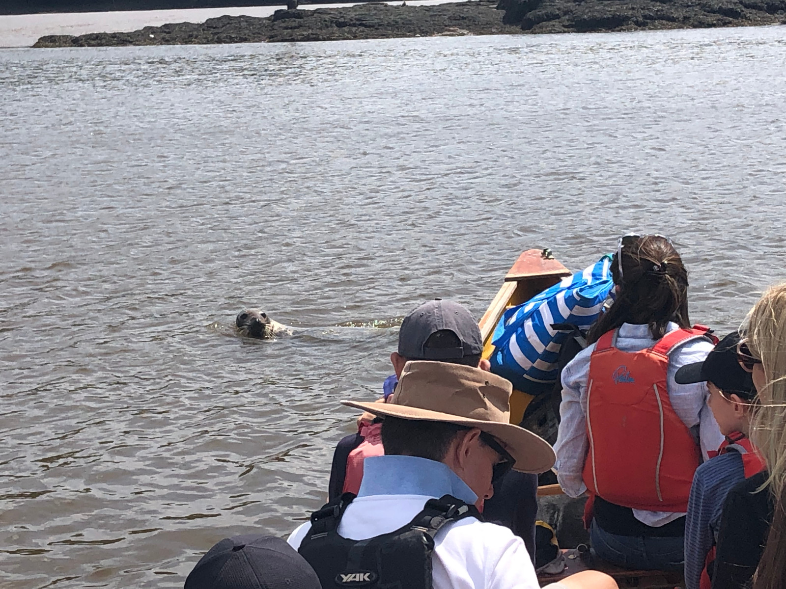 Riverschool Family Canoe Adventure (HAFfunded) - image 2