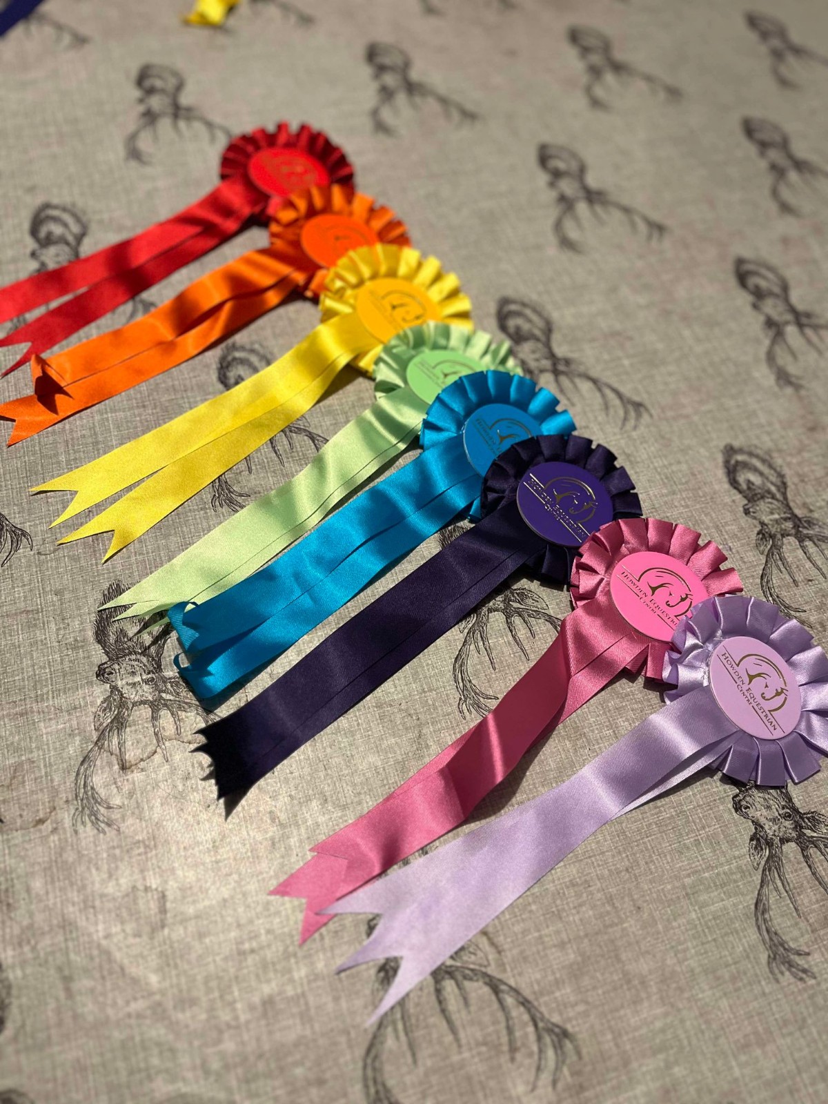 Horse & Pony Experience Day @Howden Equestrian - image 9