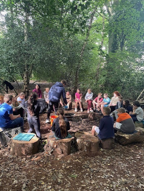 Woodlands Summer HAF - image 4
