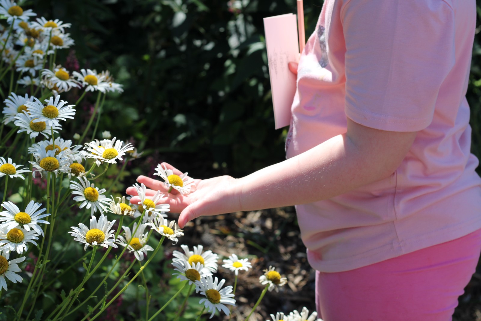 The Creative Space - KIDS SUMMER CAMP! - image 4