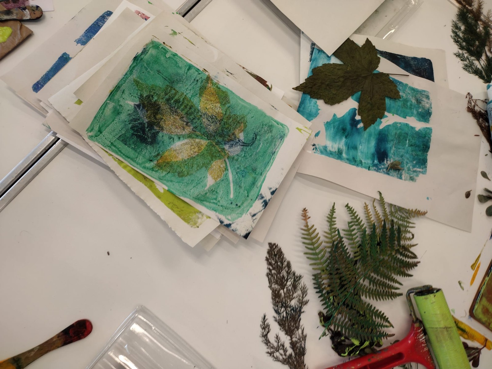 Wildlife Watch Plants and Prints - image 3