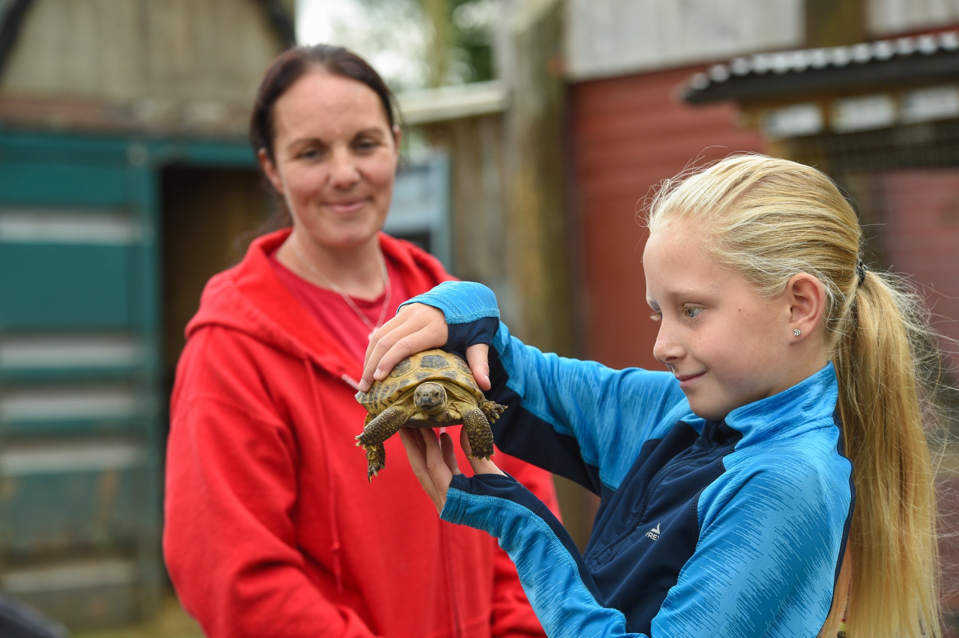 Blacon Adventure Playground - image 9