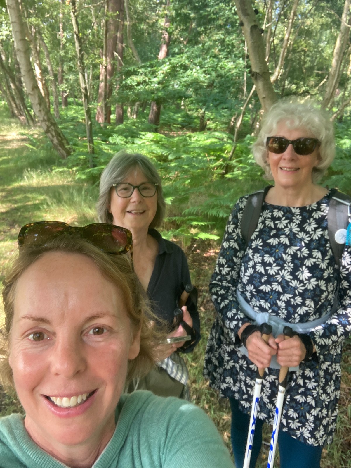 Mindful Nordic Walking and Forest Bathing - image 4