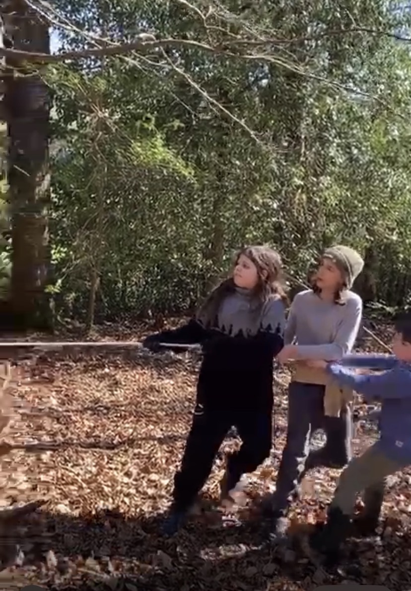 Fortnightly Wednesdays May, June & July - image 6