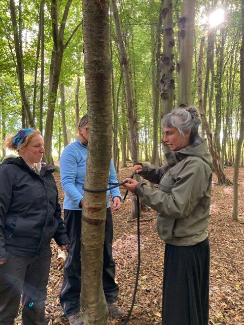 FSA Sussex Spring Network Day 
21st March 2026 - image 20