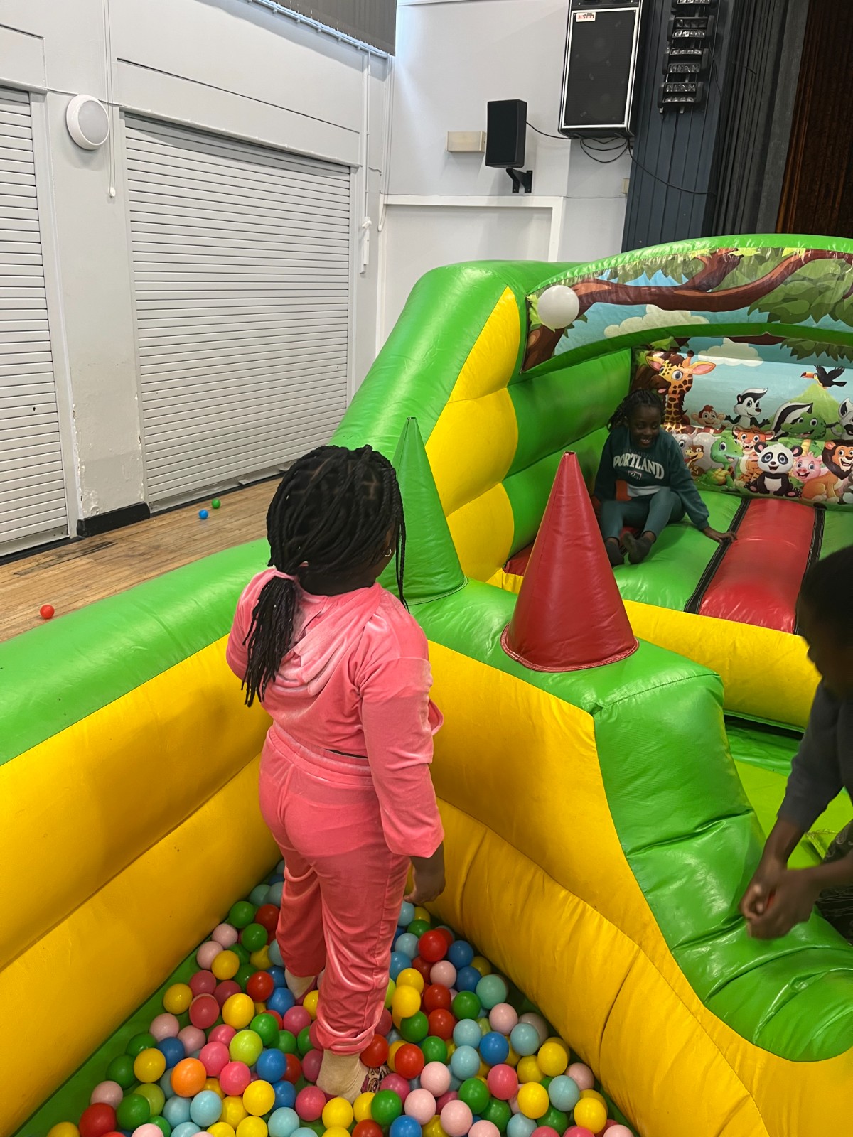 Garden Project, Inflatables...FUN! - image 6