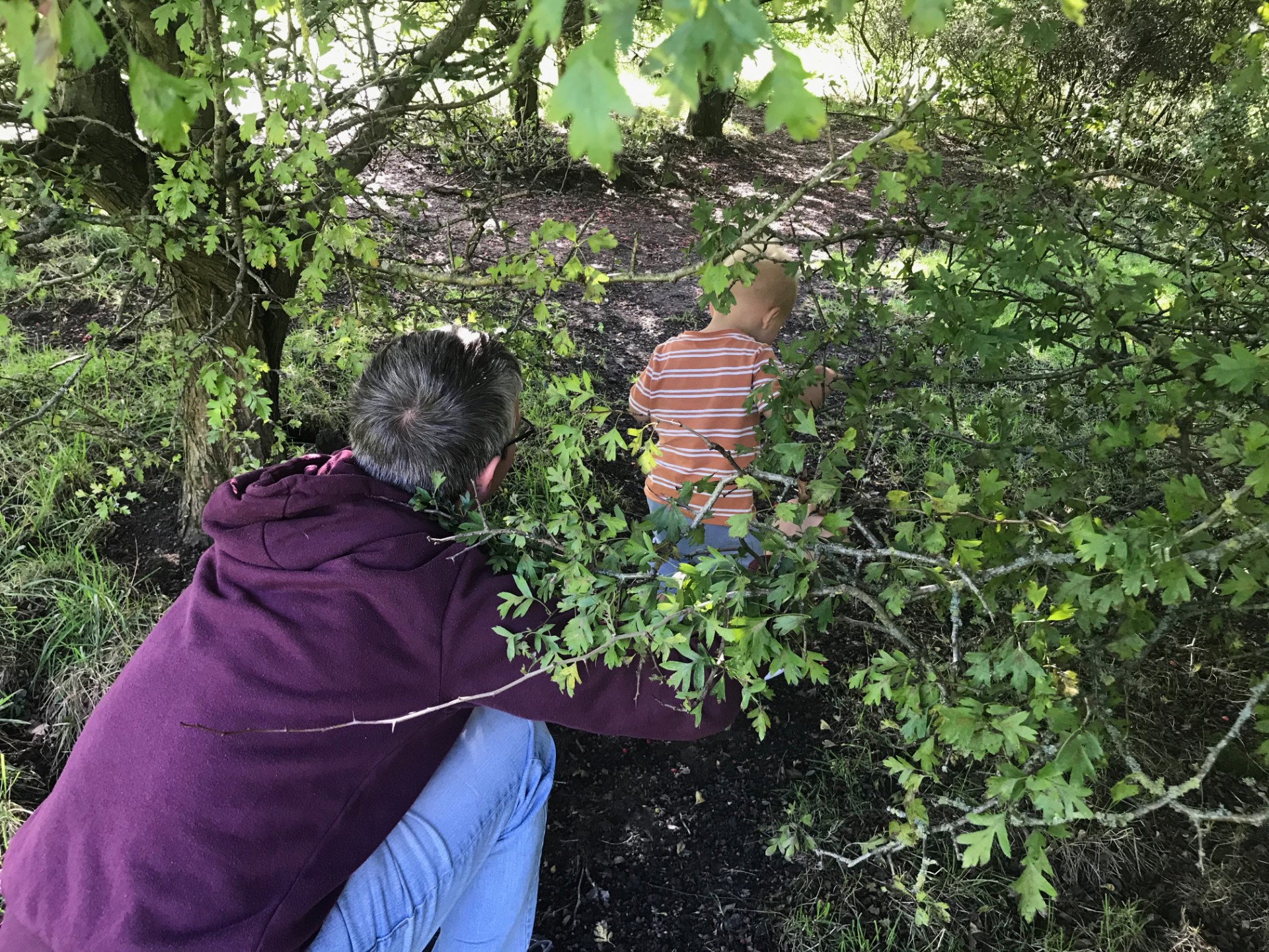 Intensive Forest School Leader Training - image 18