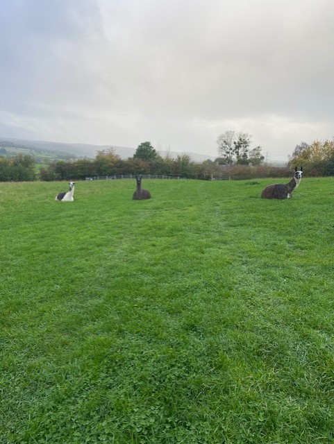 Summer Holiday activity days - image 10