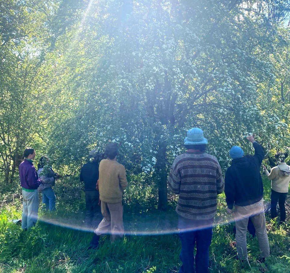 Embodied Ecology block mentored by Edward Dale-Harris