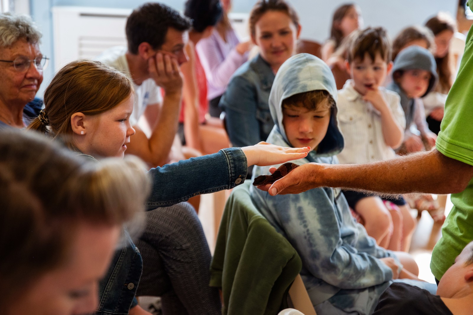 Animazing at Dorking Christian Centre - image 5