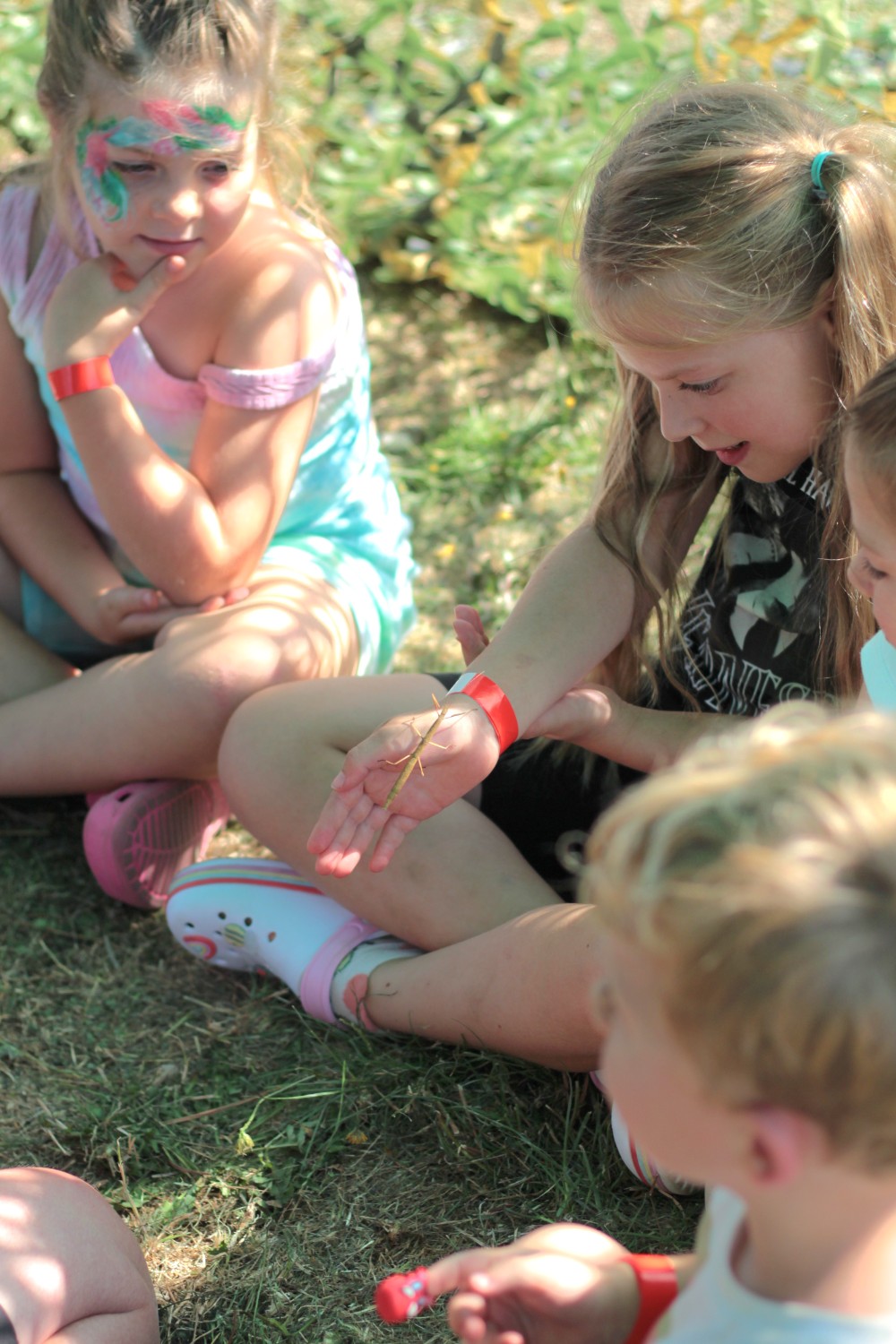 Zoe's Party Animals- Holiday club- SCIENCE DAY - image 6