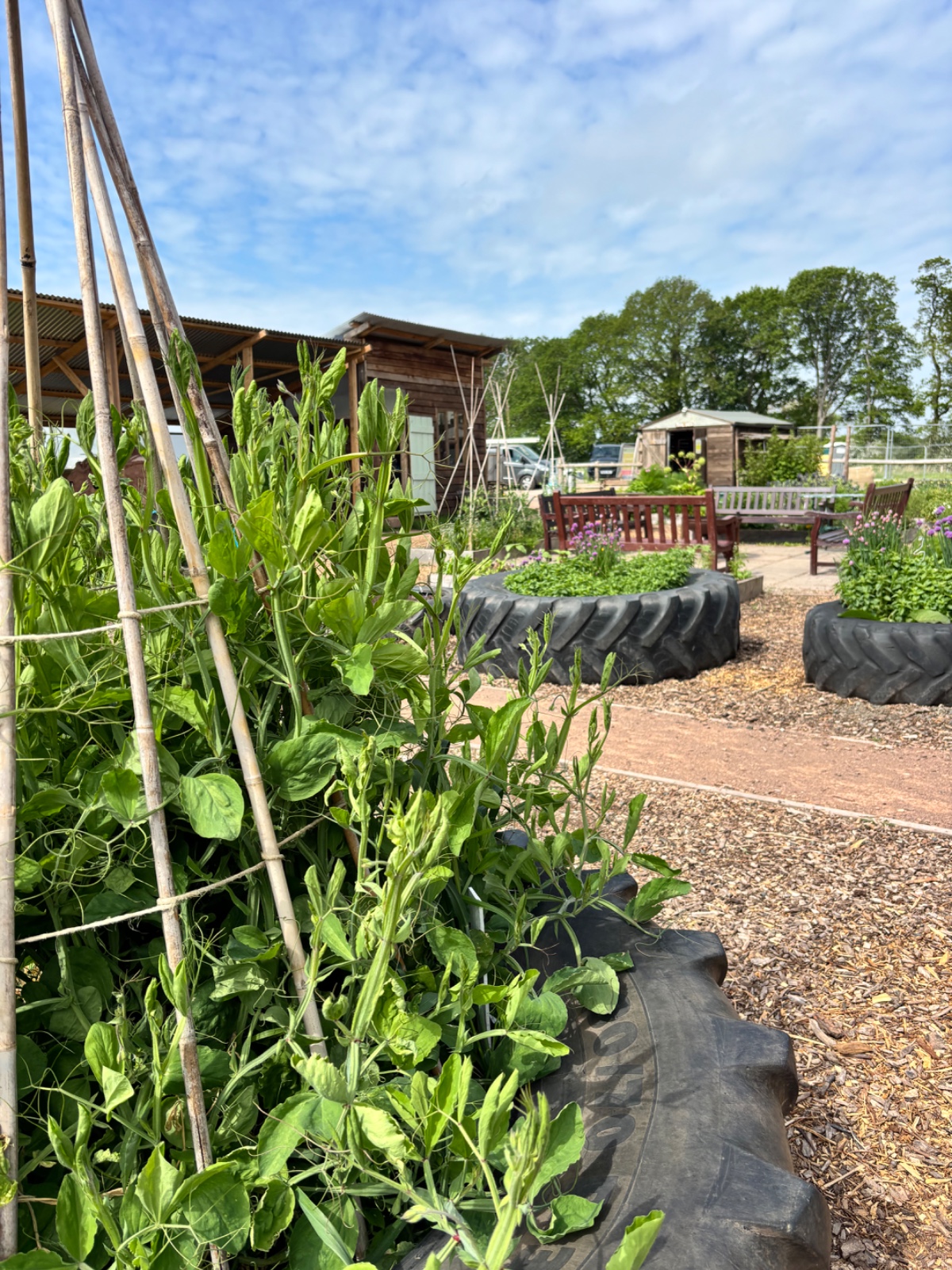 Foodie Fun Day @ the Farm - image 5