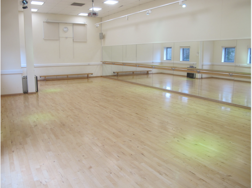 4 week Adult Ballet and Barre Core - image 5