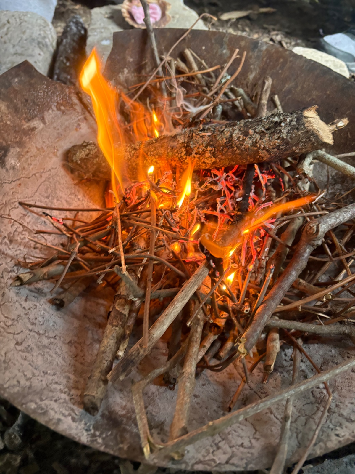 Lymley Forest School - image 6