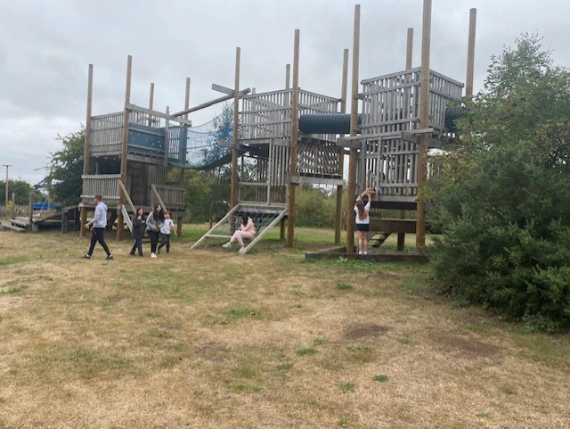 Pinewood Adventure @ Brandesburton - image 2