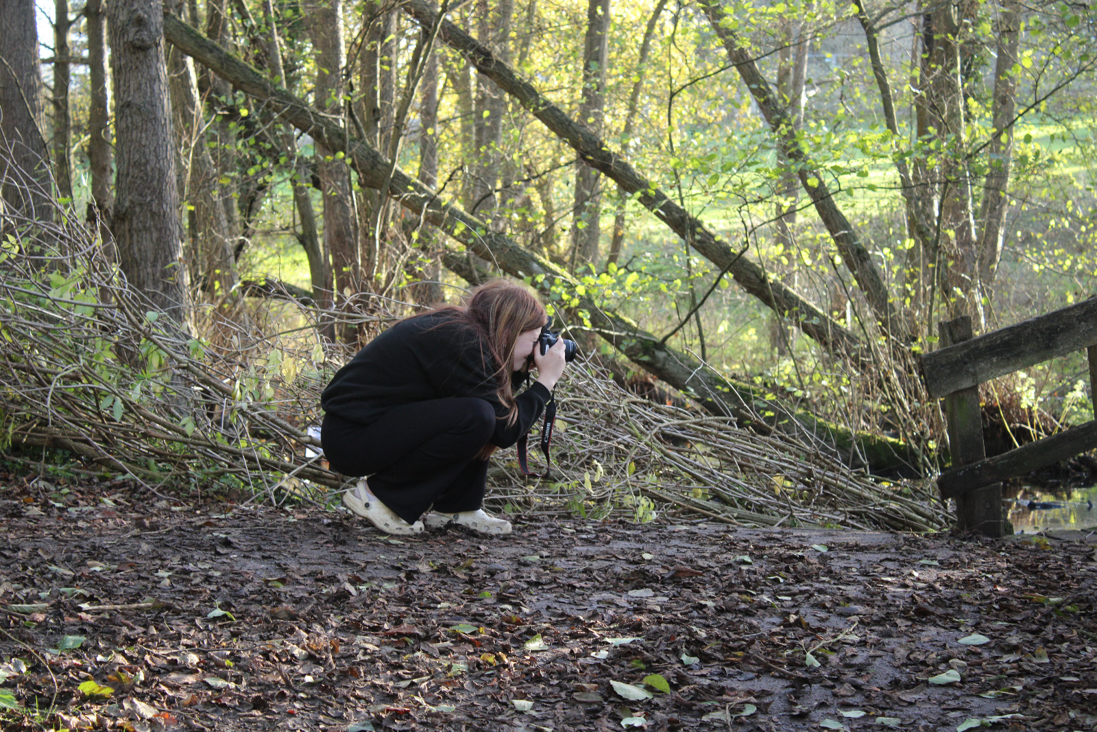 Art & Nature Club - image 3