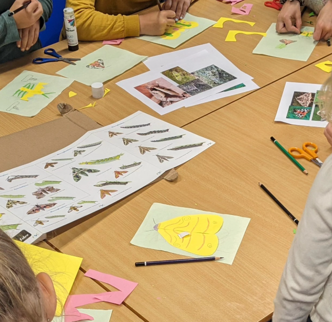 Slapton Ley Primary HAF Programme block mentored by Field Studies Council