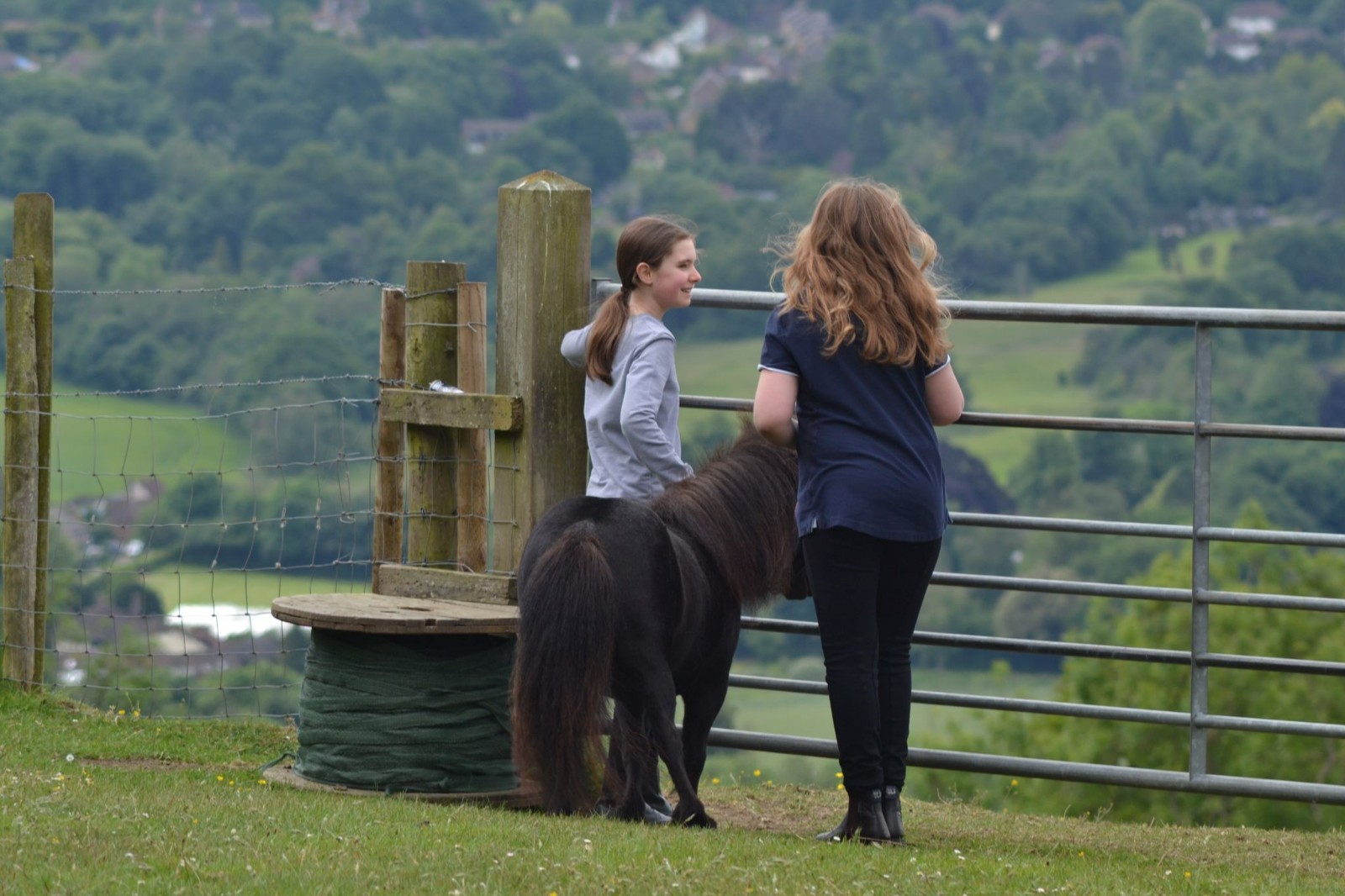 Animal Assisted Interactions in Nature - image 3