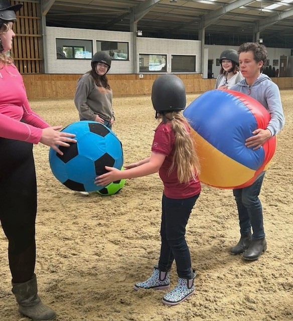 Wight Horse CIC HAF Equine Activities - image 4