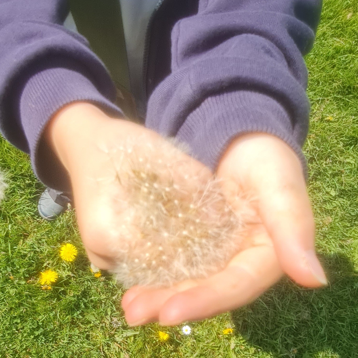Friday Forest School - image 5