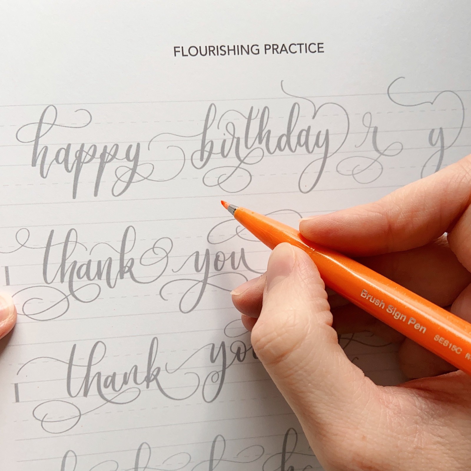 4 Week Brush Calligraphy & Watercolours - image 4