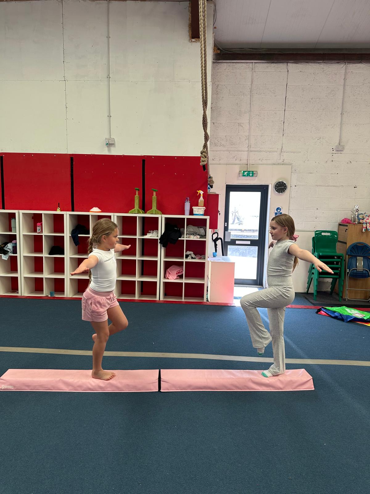 Gymnastics Camp - image 8