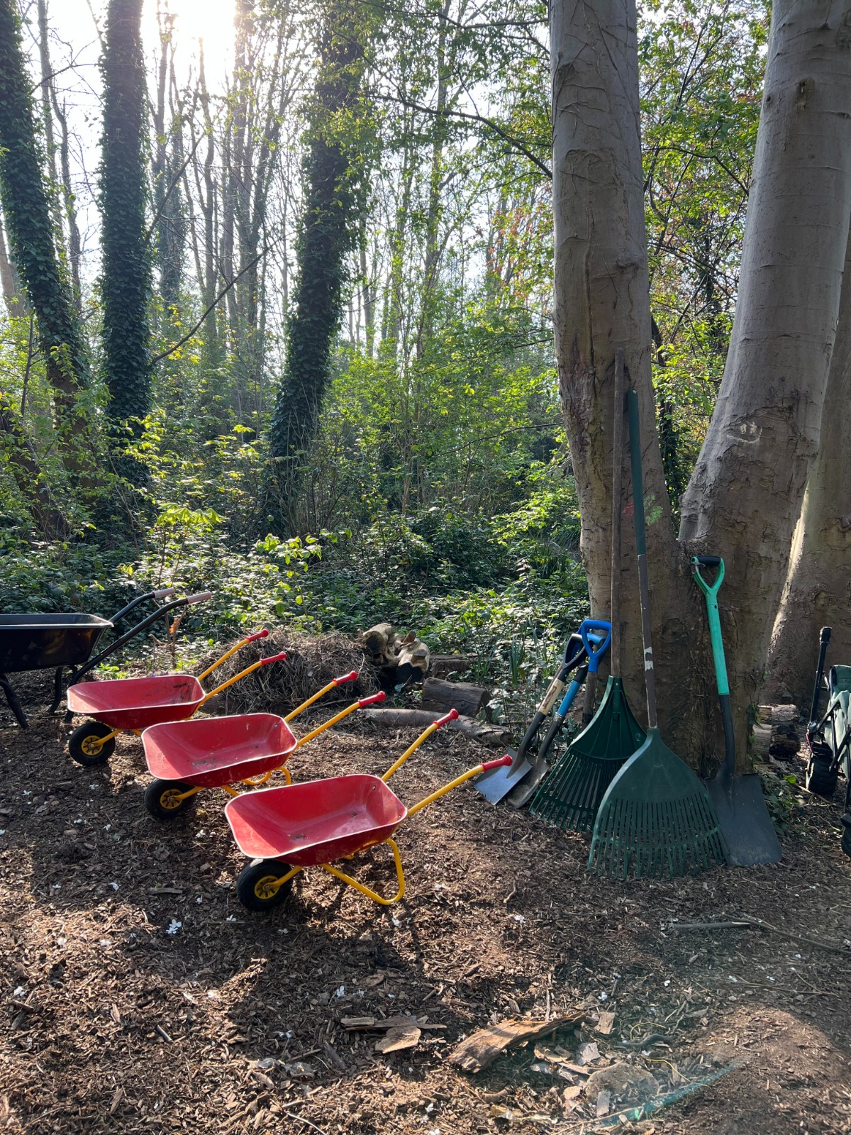 Wilderness Club: Holiday Camps - image 2