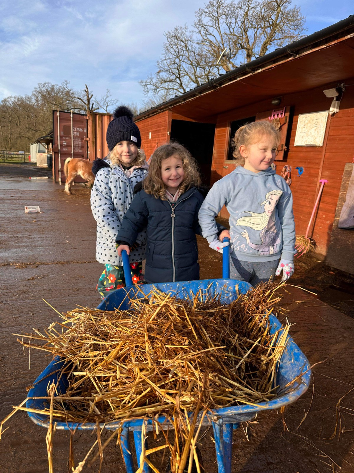 Pampered Pony: Pony Care & Horse Riding - image 3